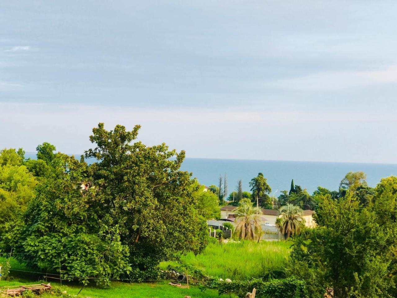 Palm Hotel New Athos Ngoại thất bức ảnh